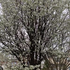 Meet your Posher, Hadil